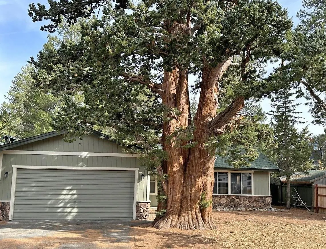 Prázdninový dům 1987 Cherokee St, Home South Lake Tahoe